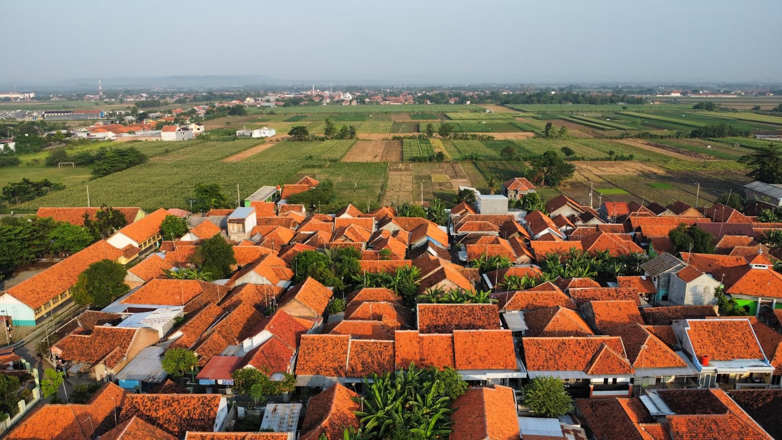 Atap-atap rumah kampung di tengah hamparan sawah